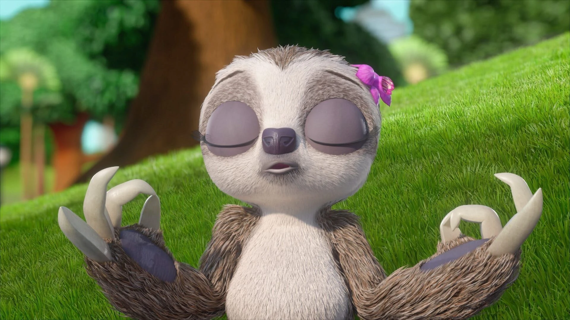 Madagascar - Die kleine Wildnis