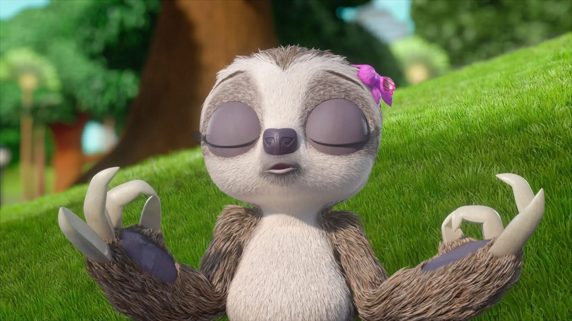 Madagascar - Die kleine Wildnis
