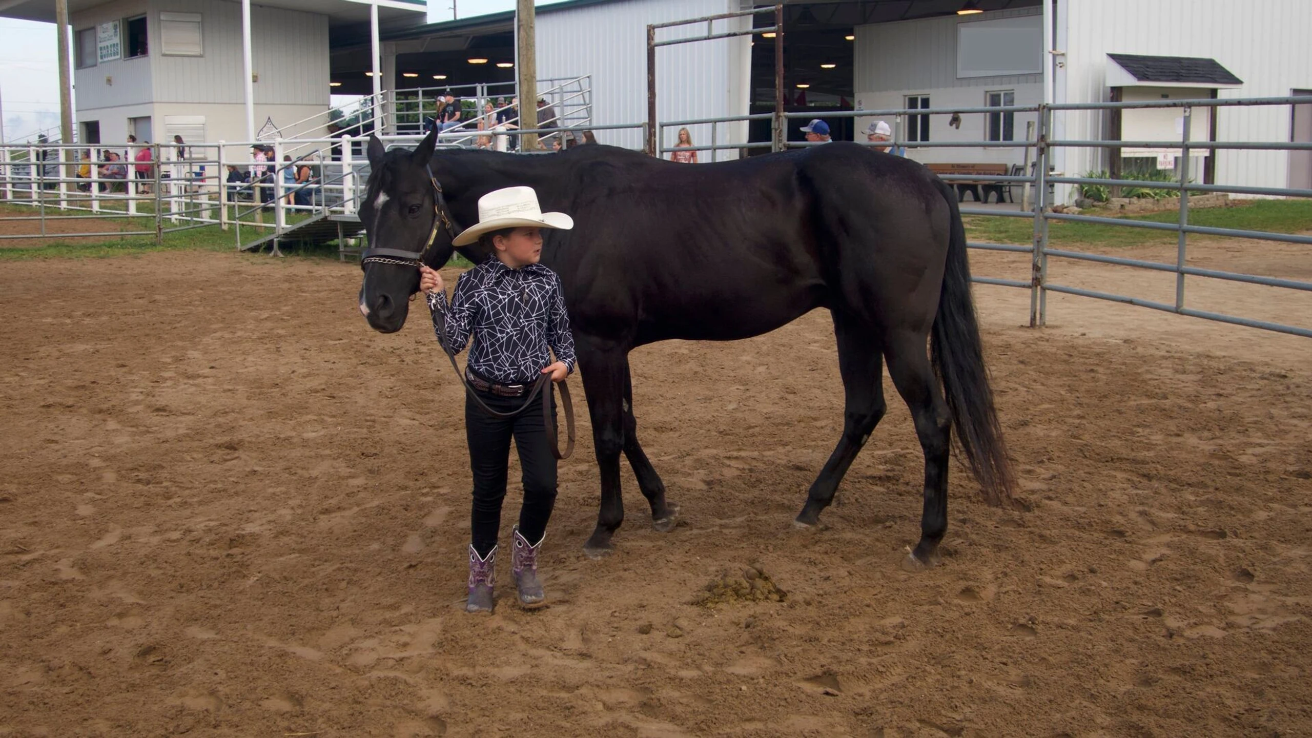 Der unglaubliche Dr. Pol