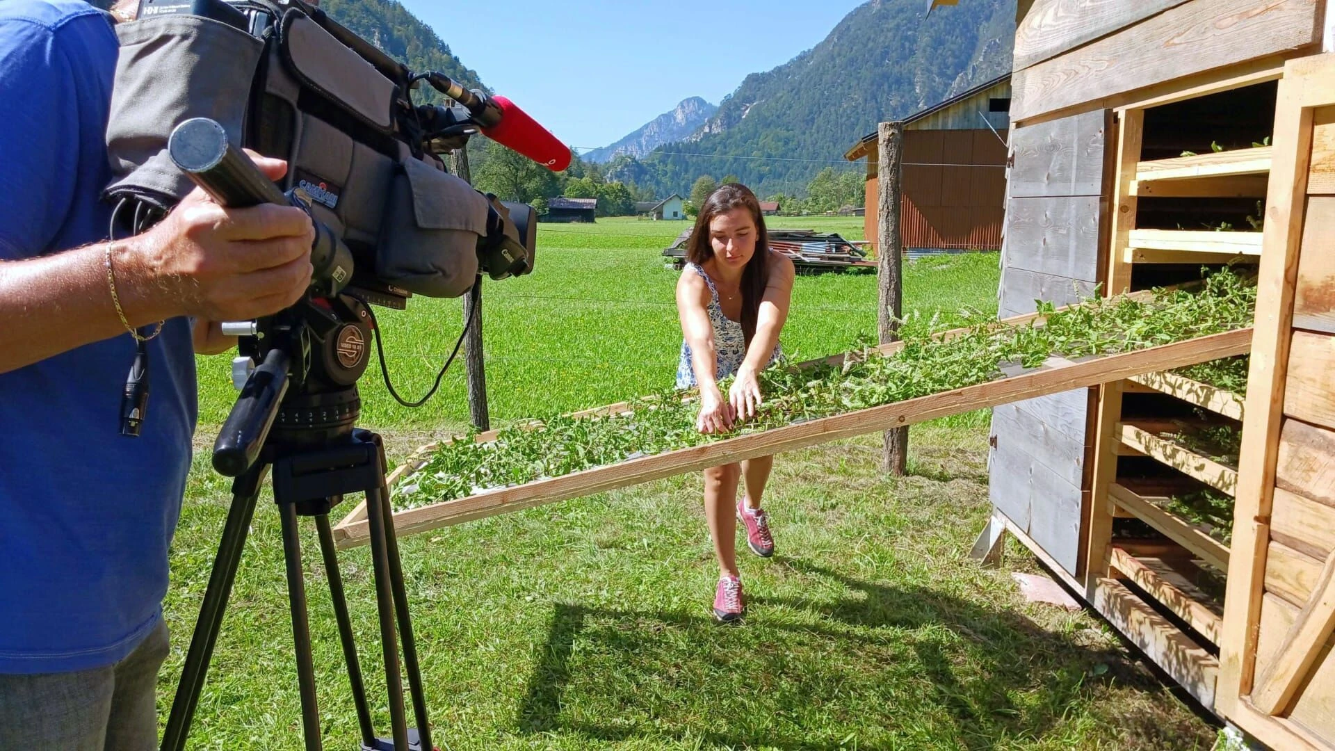 Das Kanaltal - Leben in Vielfalt