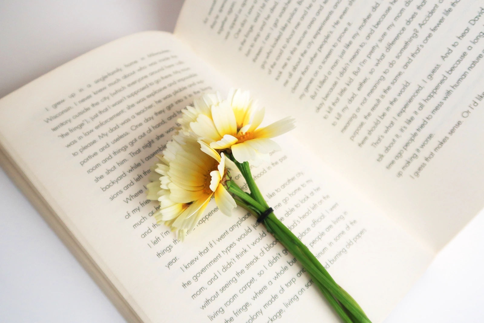 Symbolbild Buch