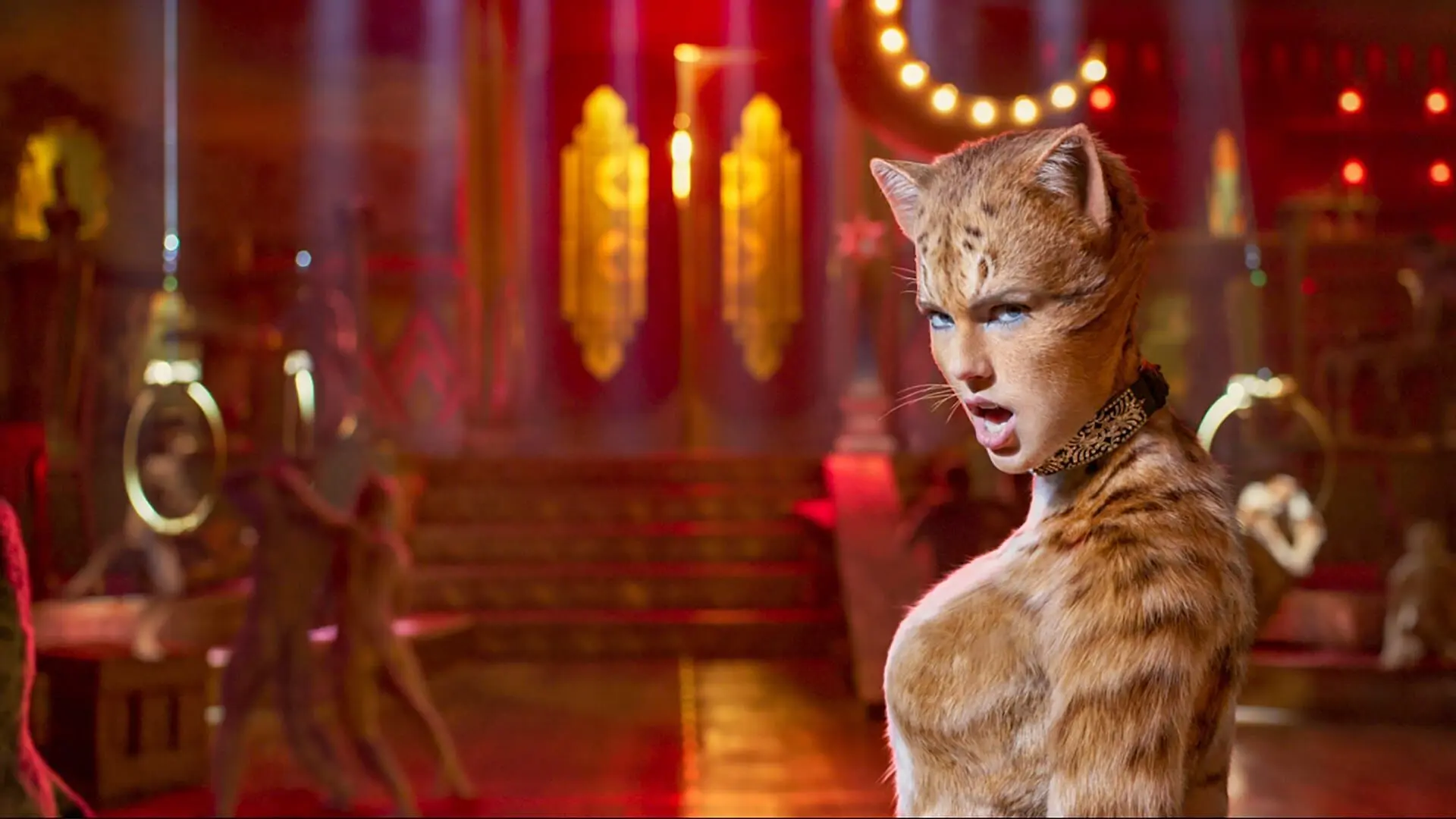 Cats