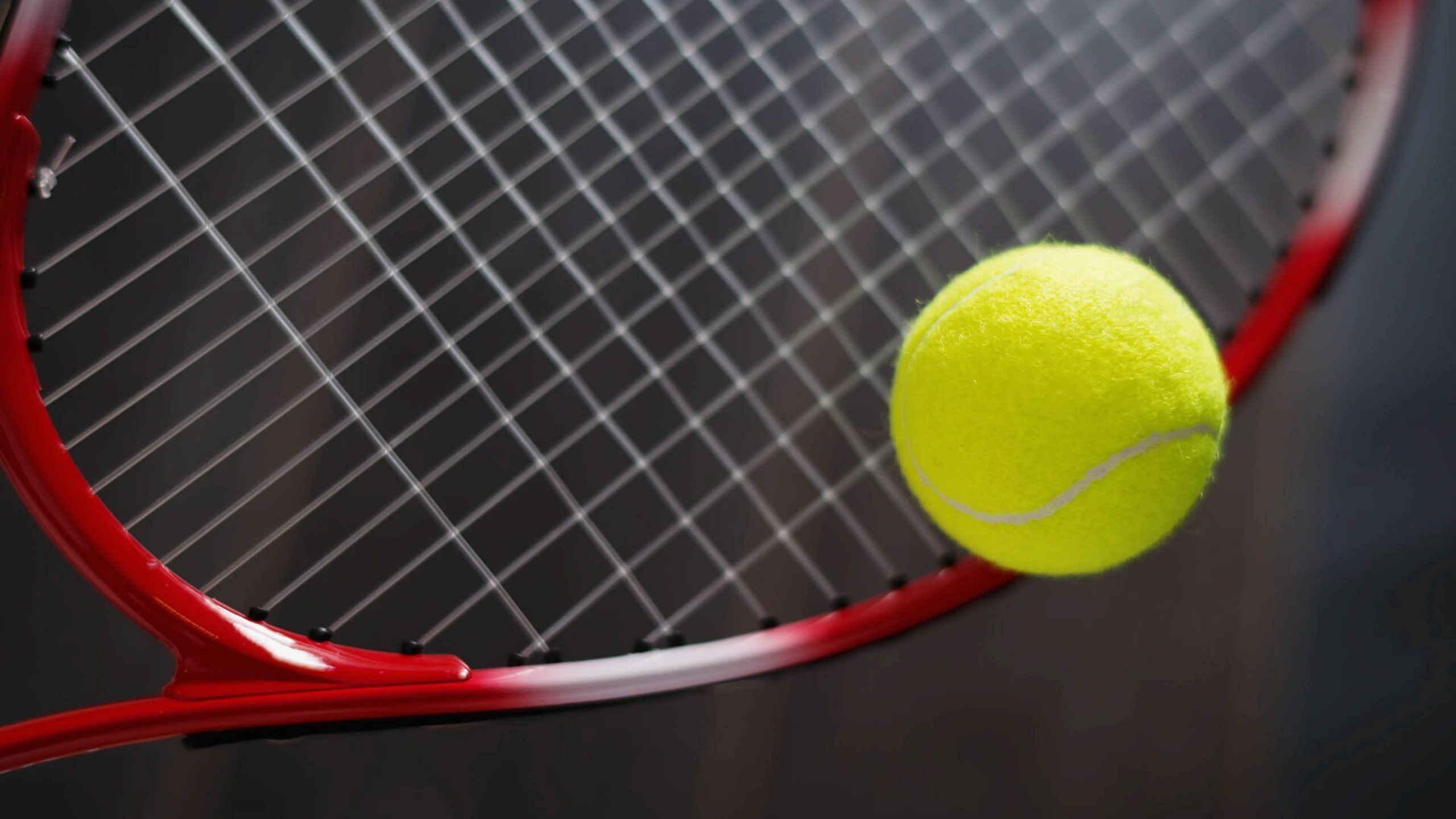 Erste Bank Open 2026