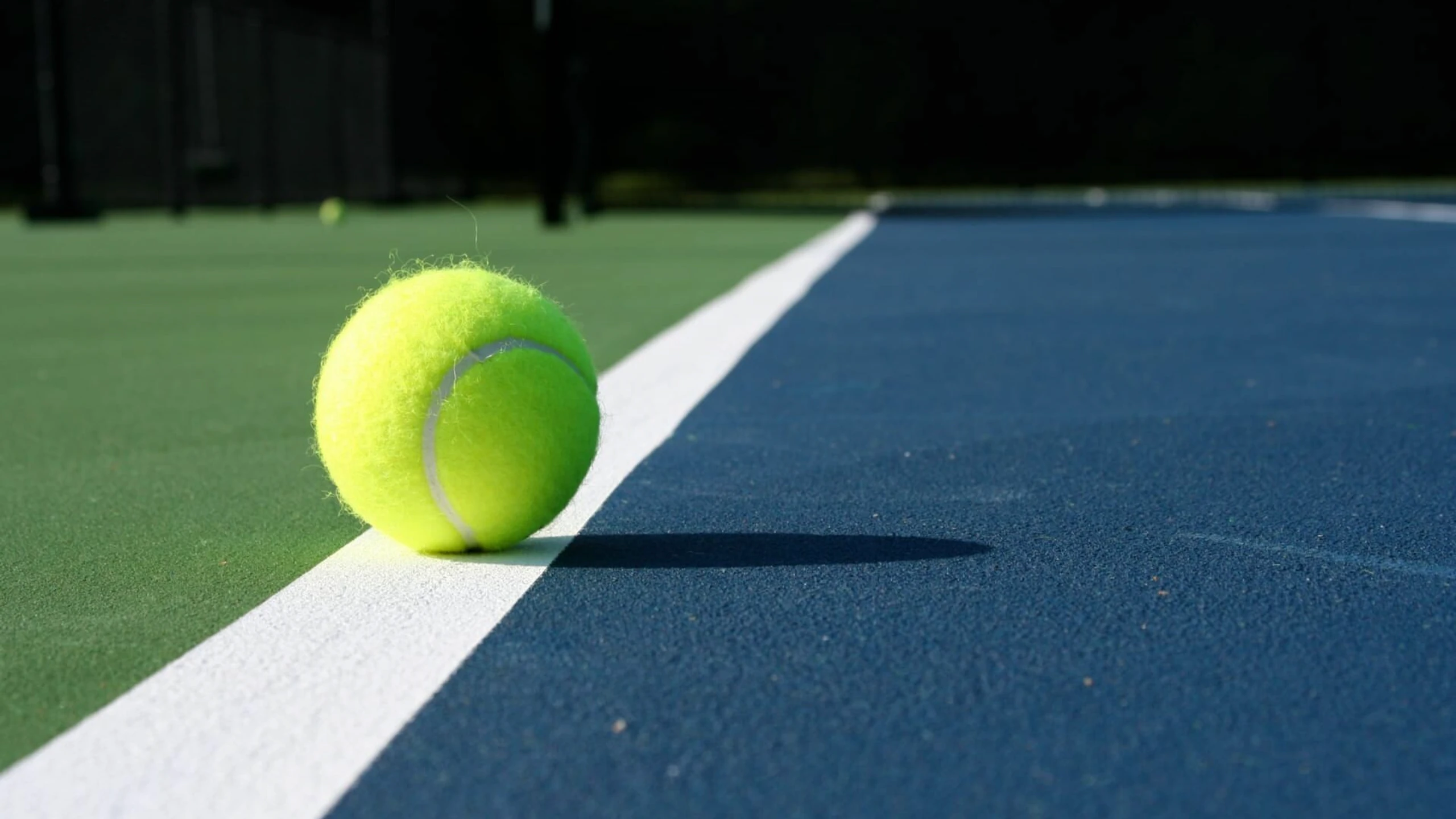 Erste Bank Open 2026