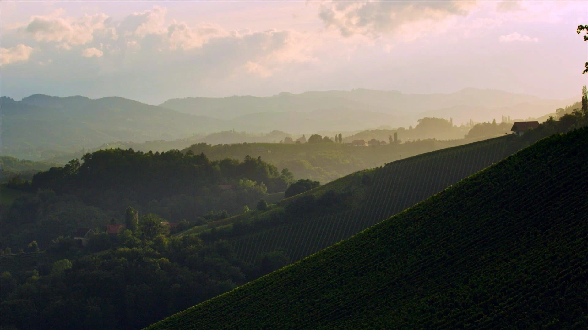 Eine österreichische Weinreise