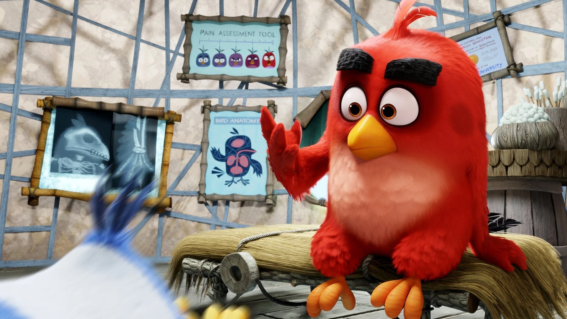 Angry Birds - Der Film