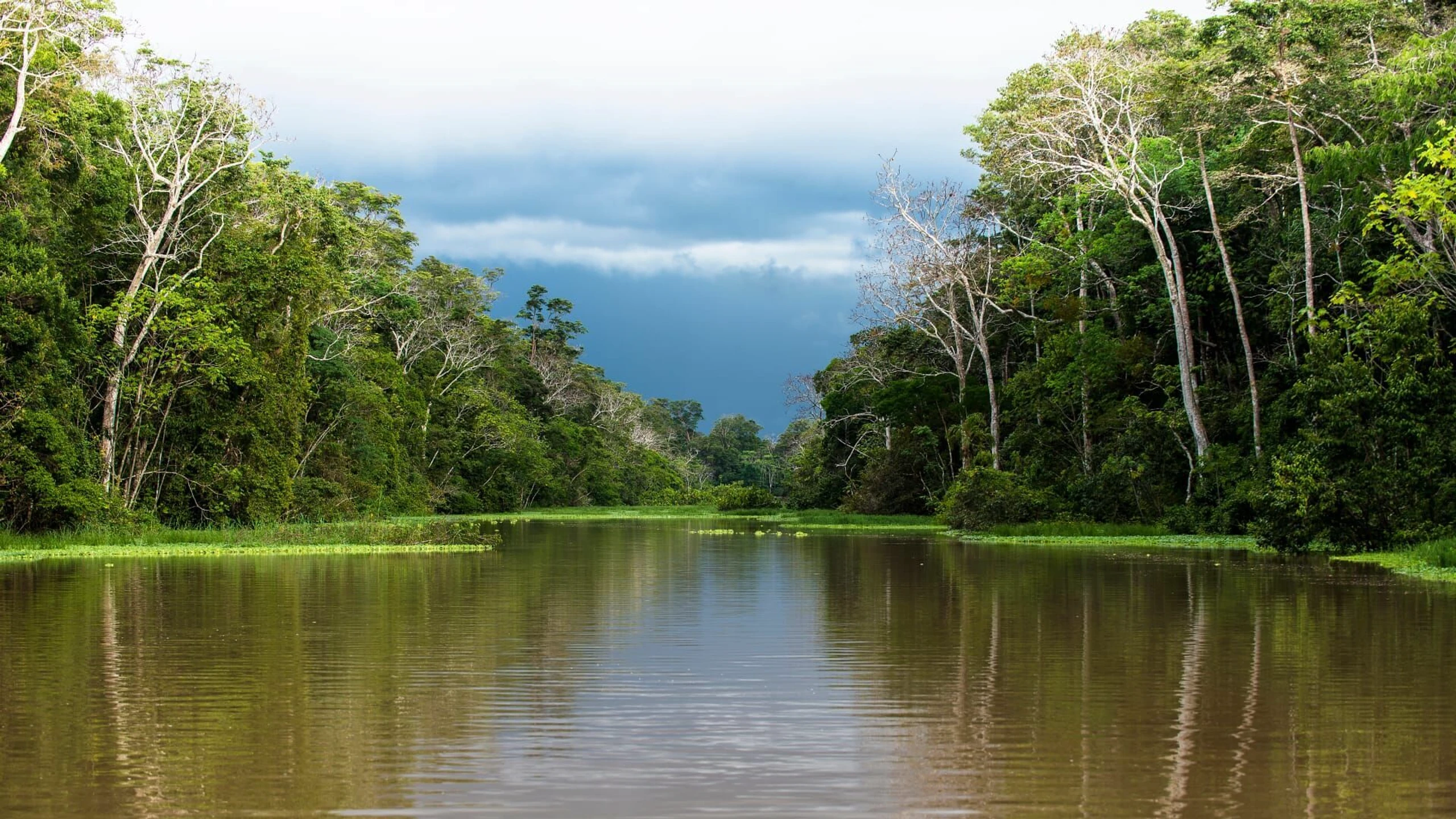 Überleben am Amazonas