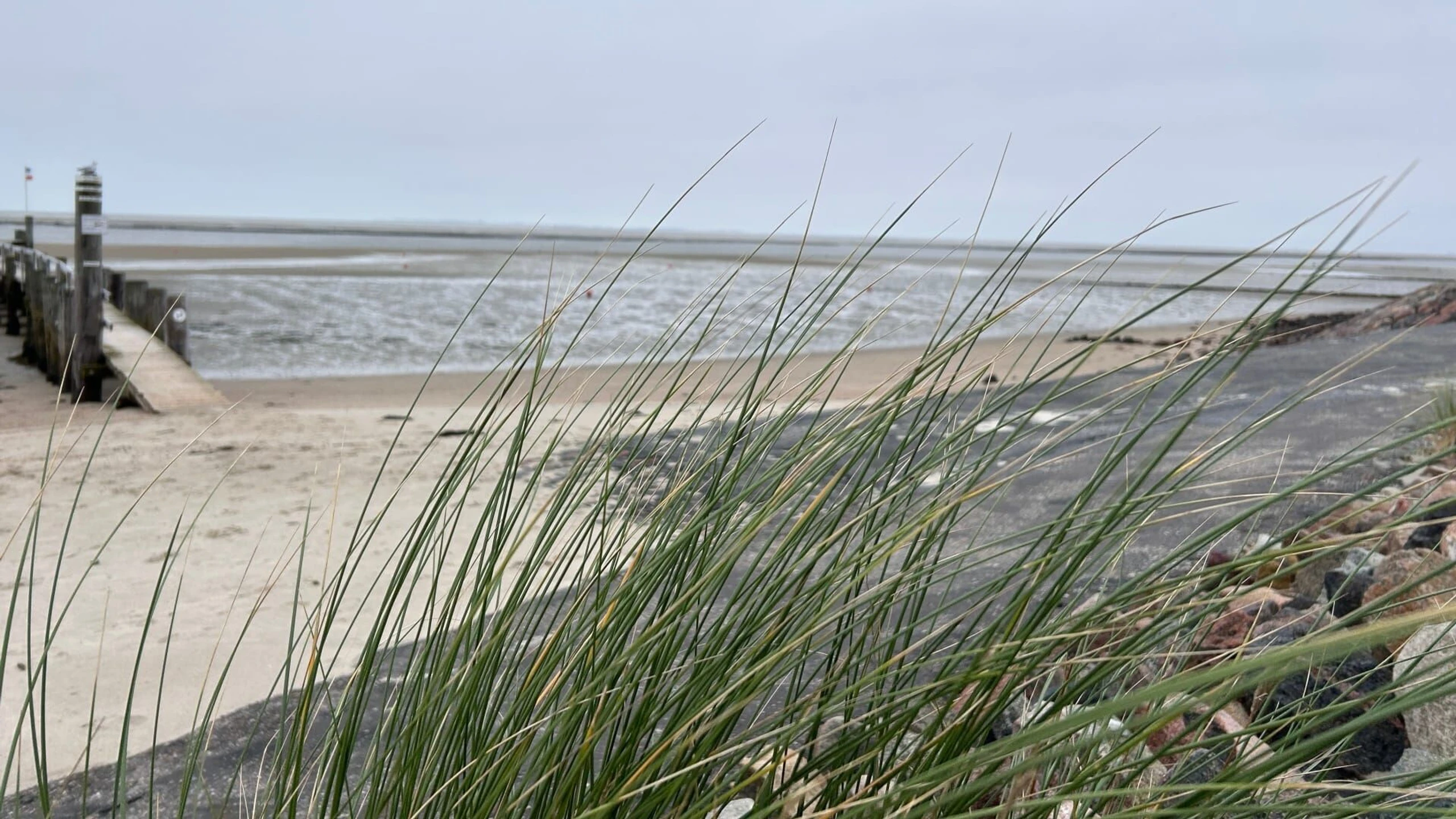 Winter am Wattenmeer