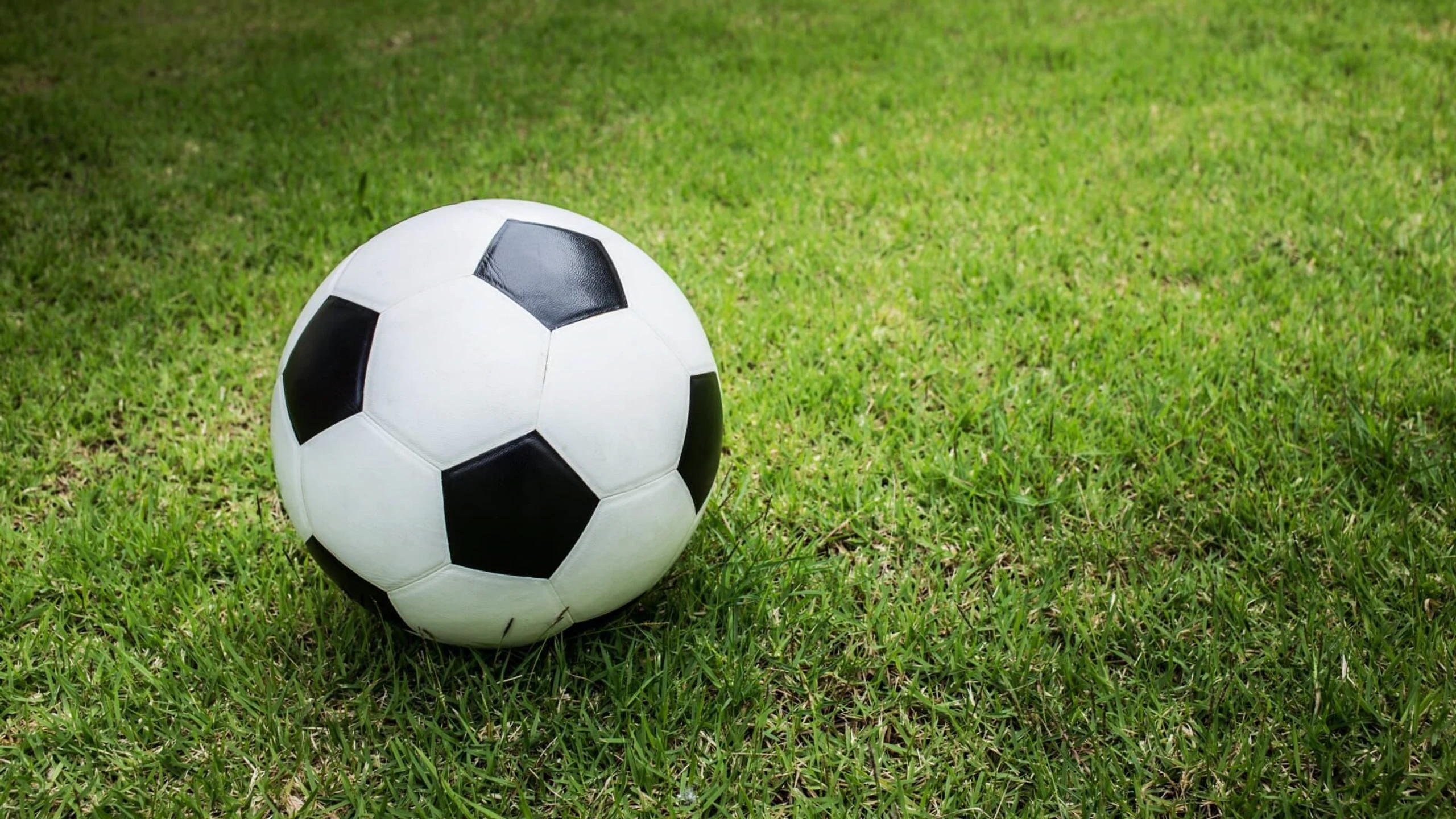 UEFA Champions League Quali. 2.Rd. Rückspiel: Heart of Midlothian FC - SK Sturm Graz