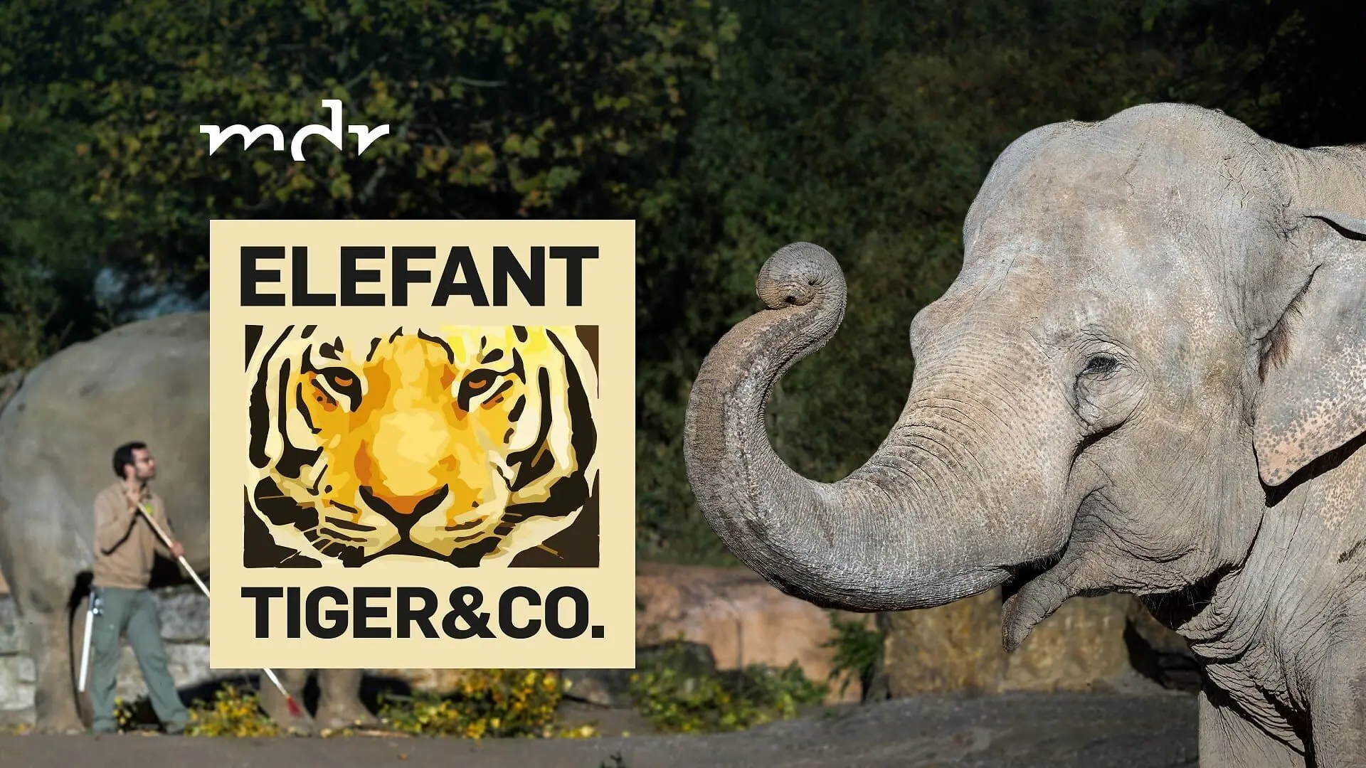Elefant, Tiger & Co.
