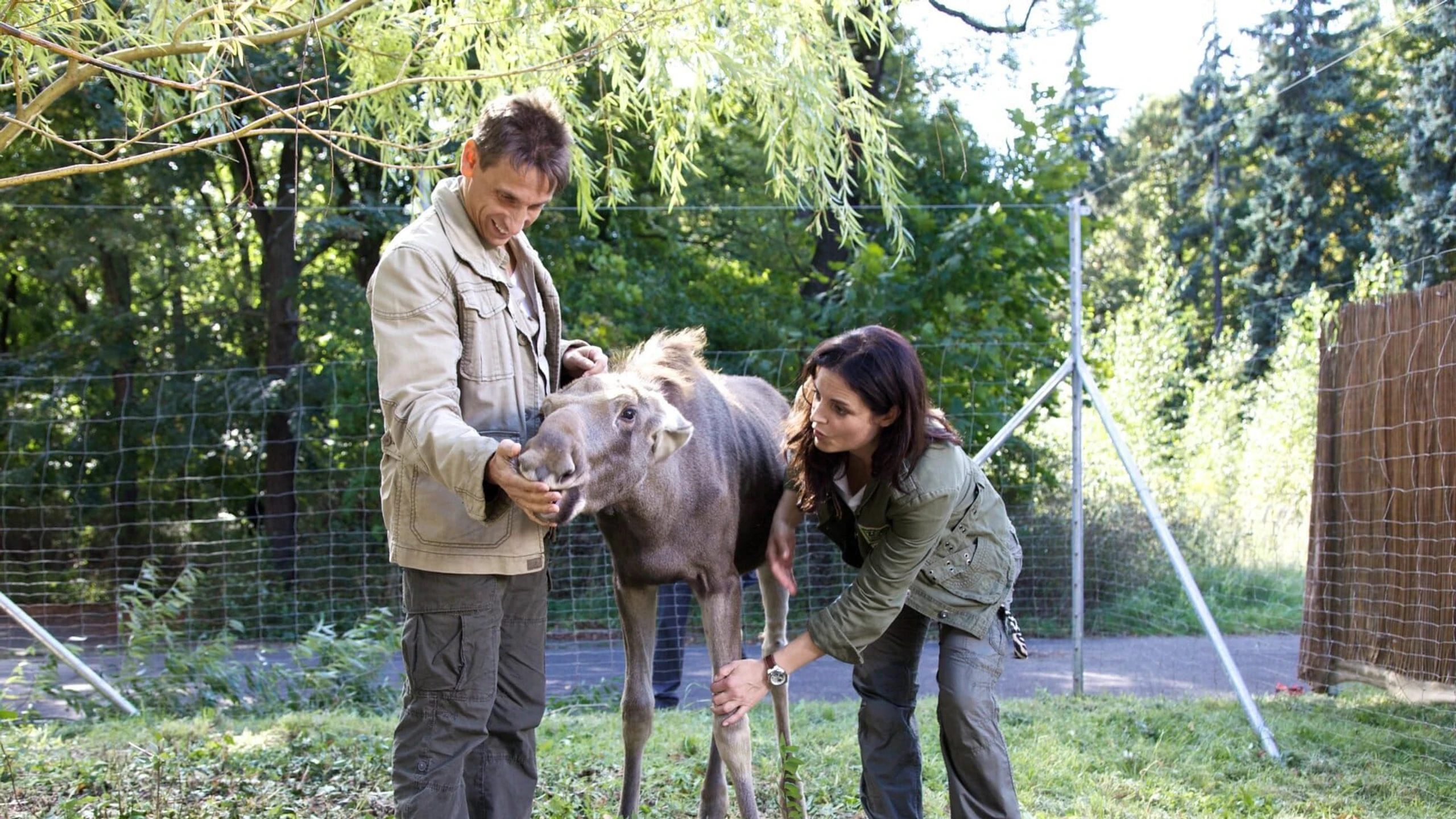Tierärztin Dr. Mertens