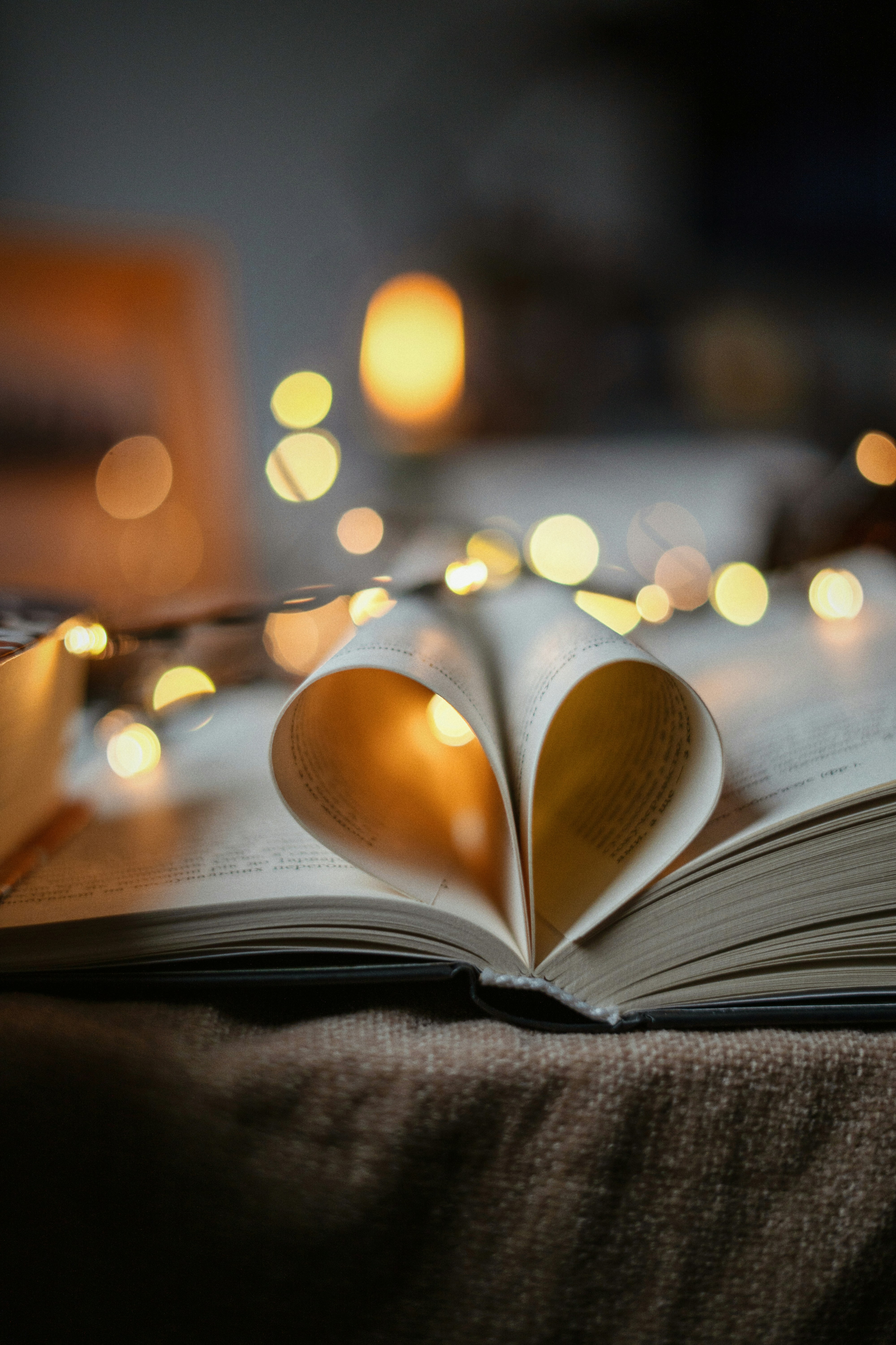 Bücher für die Winterzeit - unsere Empfehlungen aus der Schulbibliothek!