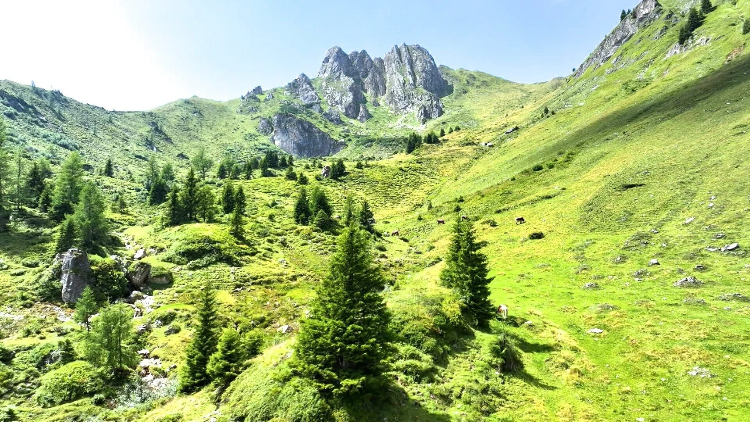 Zwischen Himmel & Erde - Almen im Salzburger Land