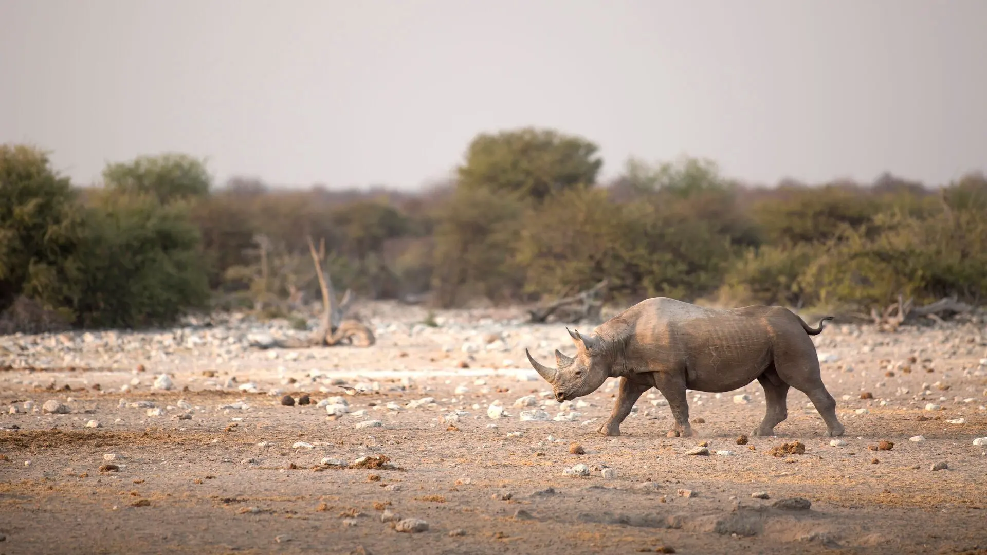 Zoo und so - Tierisch wild!