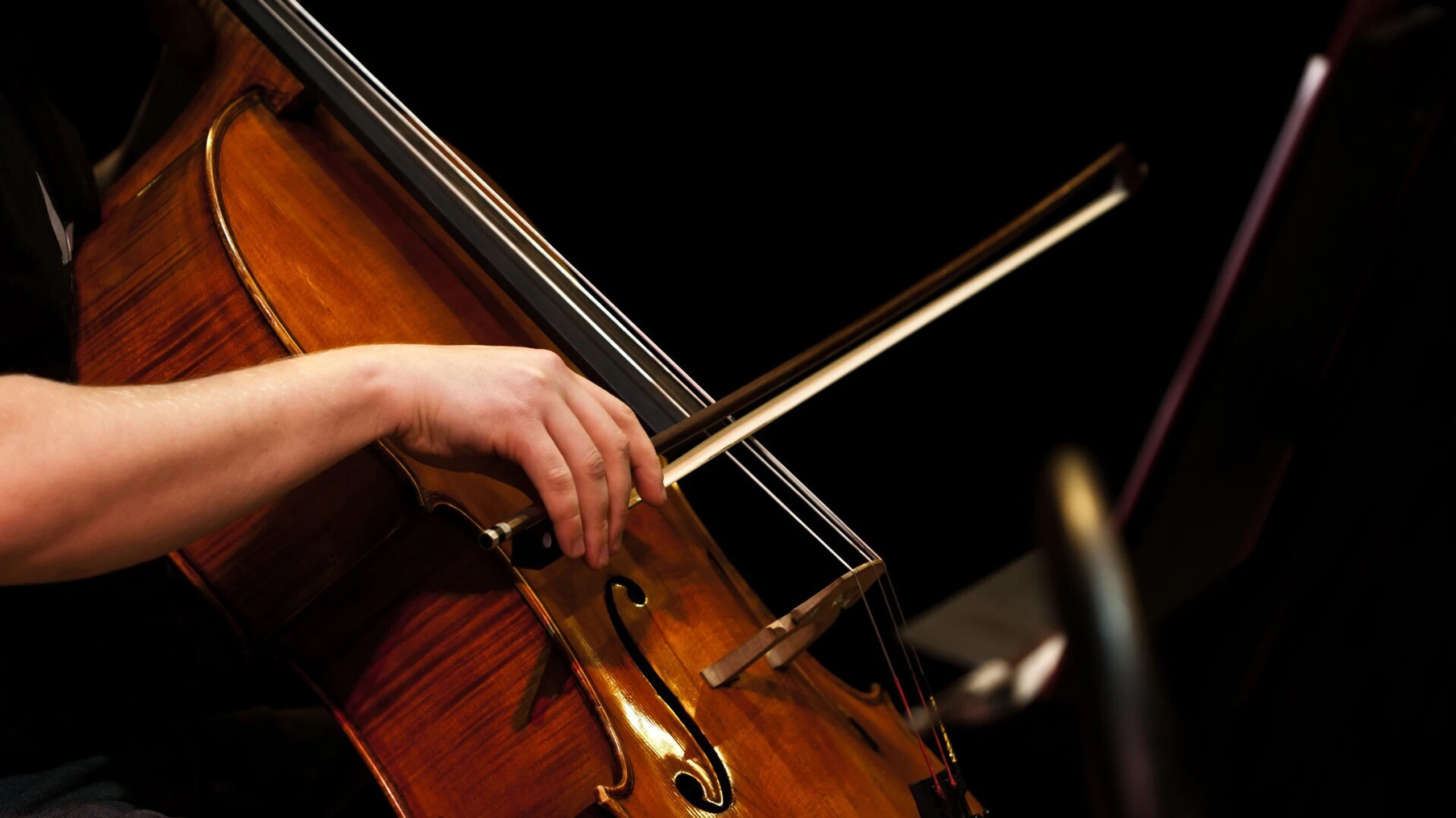 Bach - Cellosuite Nr. 5 in C-Moll, BWV 1011