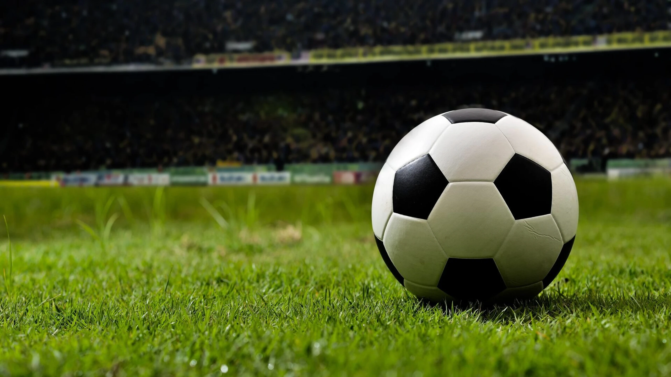 Fußball: Bundesliga