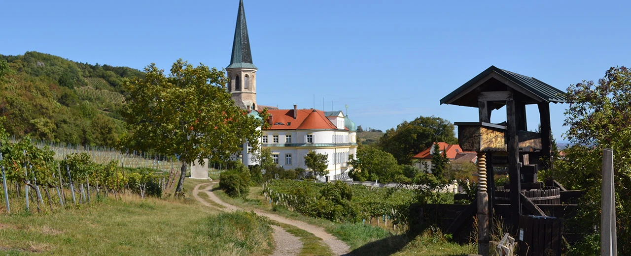 Idyllischer Blick auf Weinberge, Schloss, Kirche & alte Weinpresse.