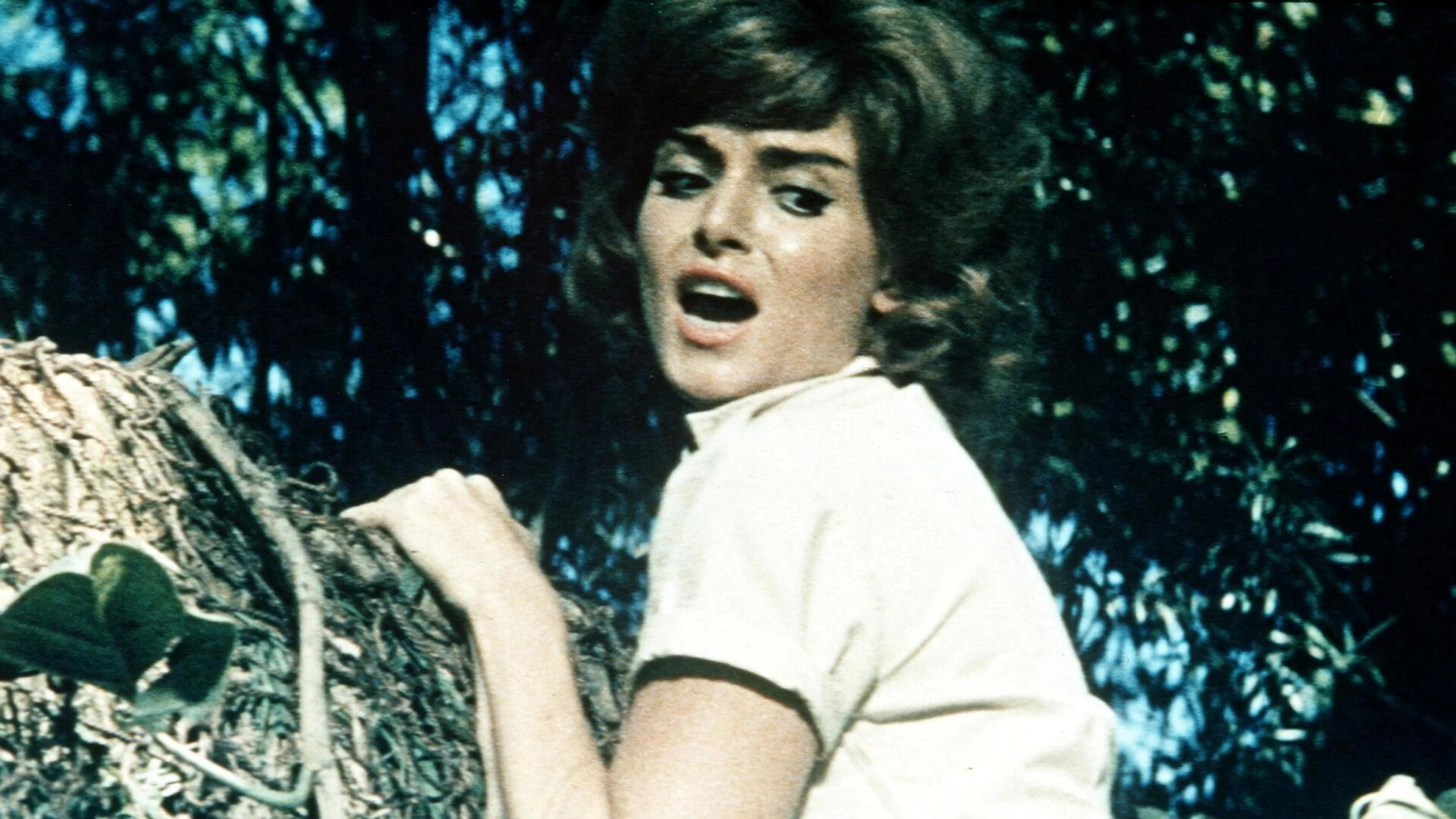 Das Todesauge von Ceylon