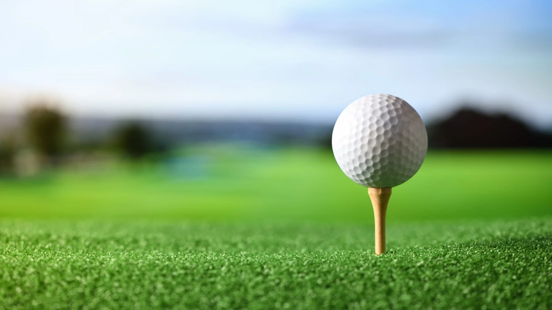 Golf: Ladies PGA