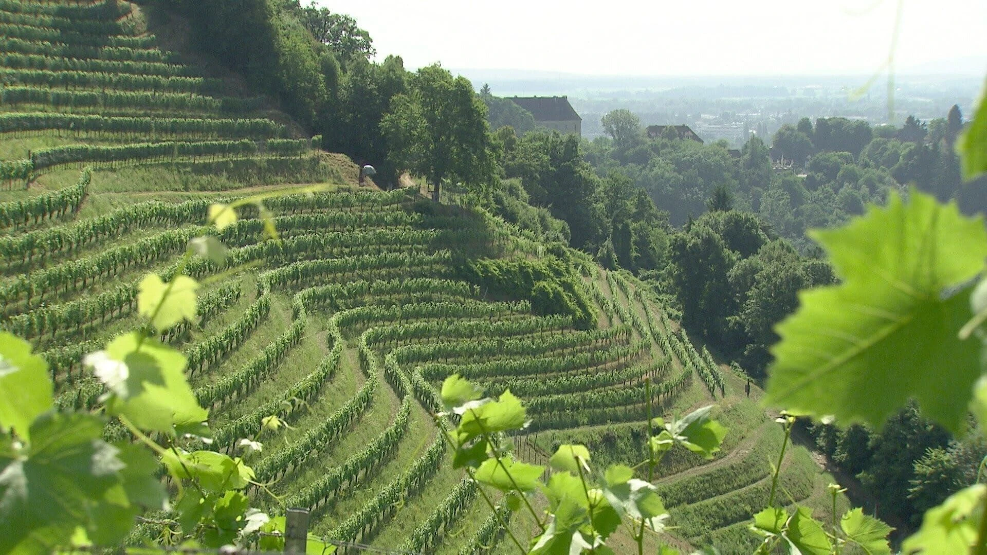 Erlebnis Österreich