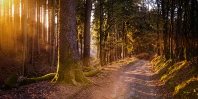 Schüler*innen gehen gerne wandern.<br><i>Wussten Sie das?</i>