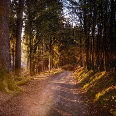 Schüler*innen gehen gerne wandern.<br><i>Wussten Sie das?</i>
