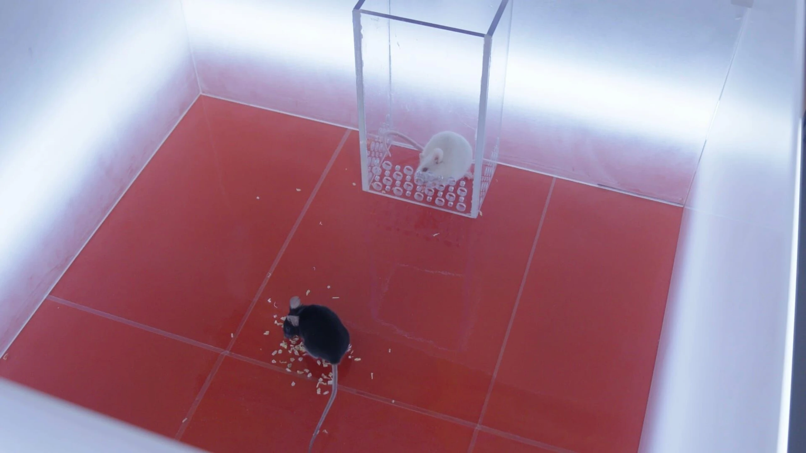 Terra X Harald Lesch