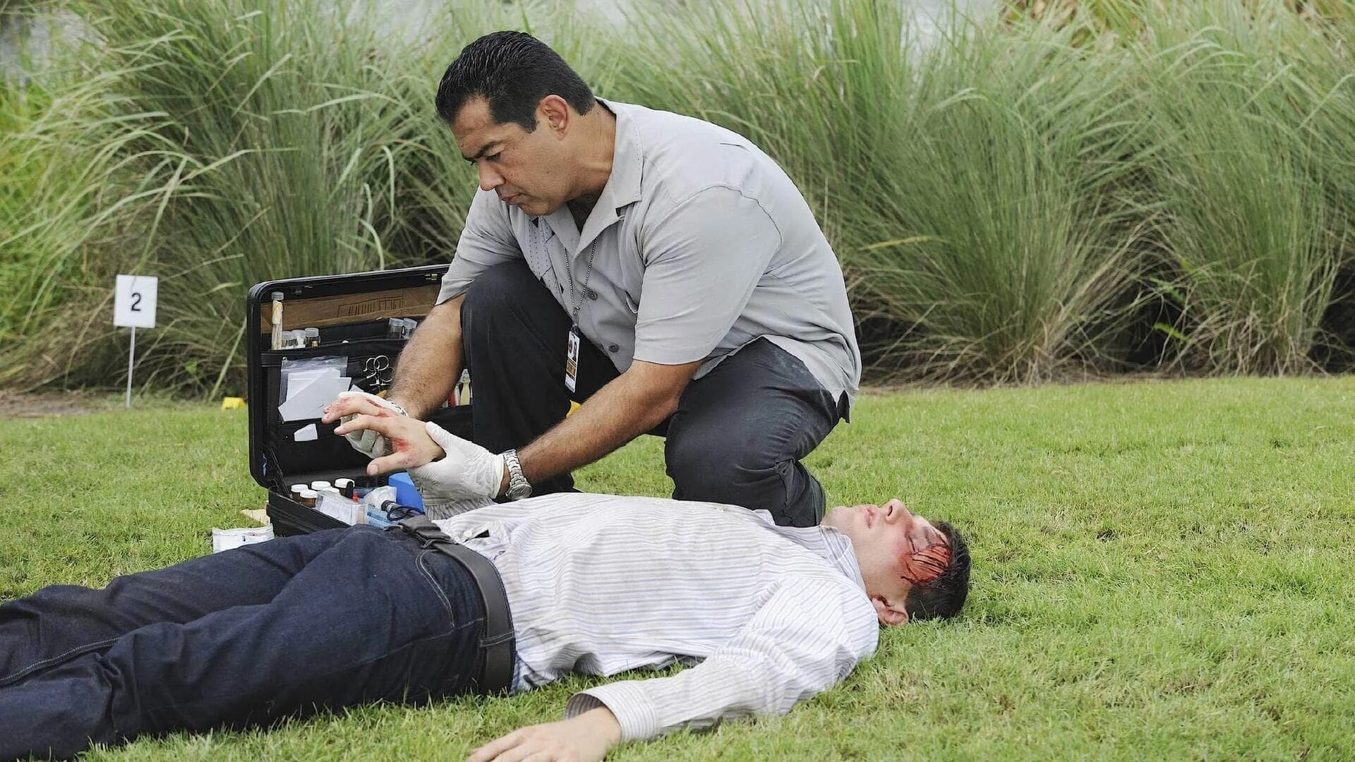 The Glades