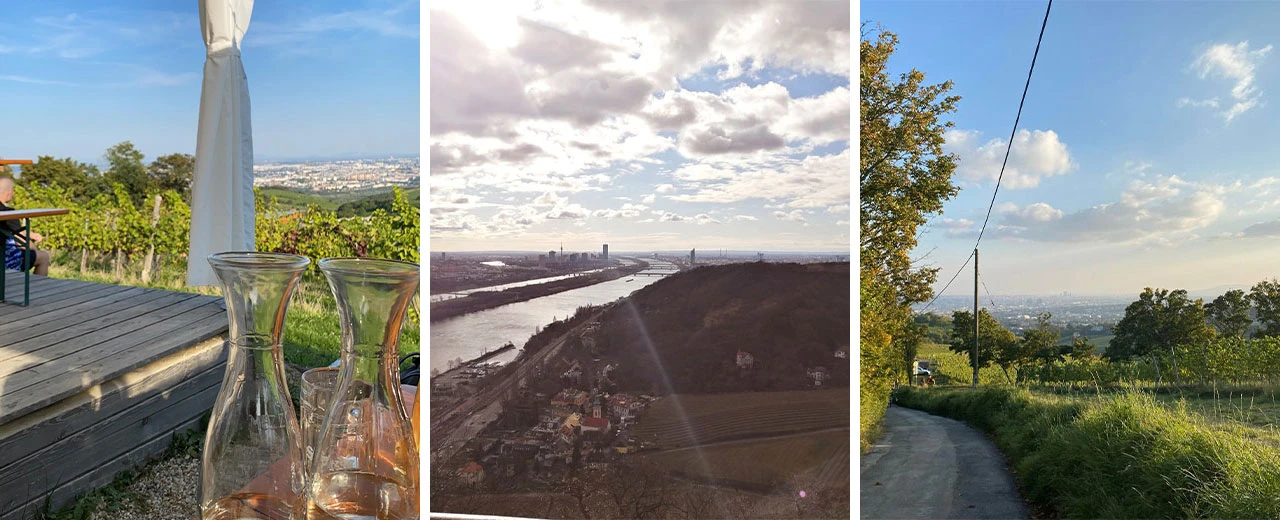 © Lea Hörmandinger Drei Bilder zeigen idyllische Weinberge mit Blick auf die Skyline Wiens.  Erstellt mit Adobe Photoshop.
