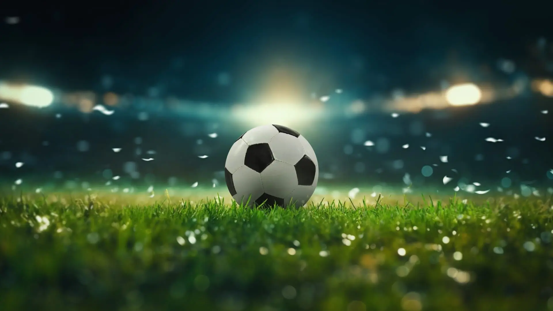 SPORTLAND Niederösterreich Frauen Cup 2024/2025 Finale: Austria Wien - spusu SKN St. Pölten Rush