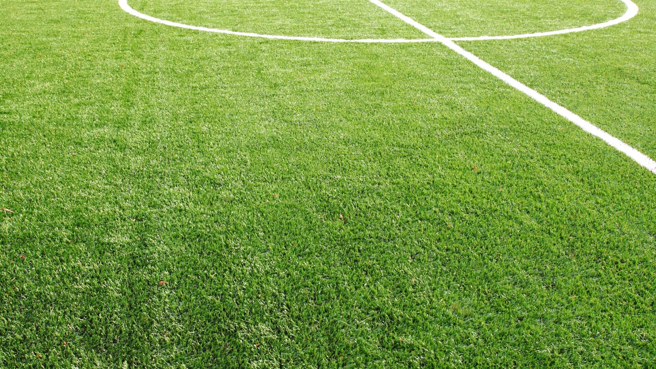 Fußball Live - Frauen-Bundesliga