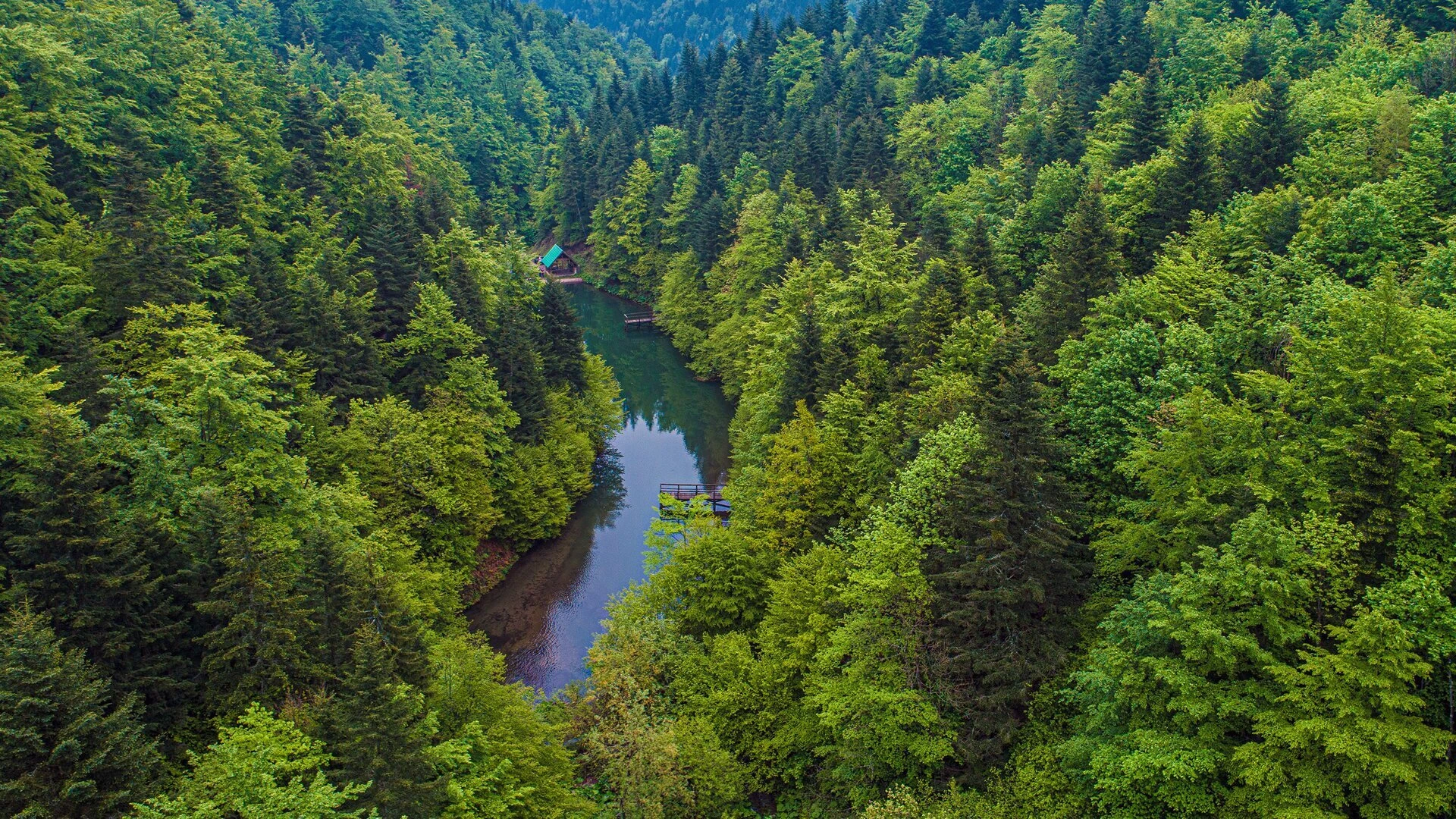 Bosnien und Herzegowina