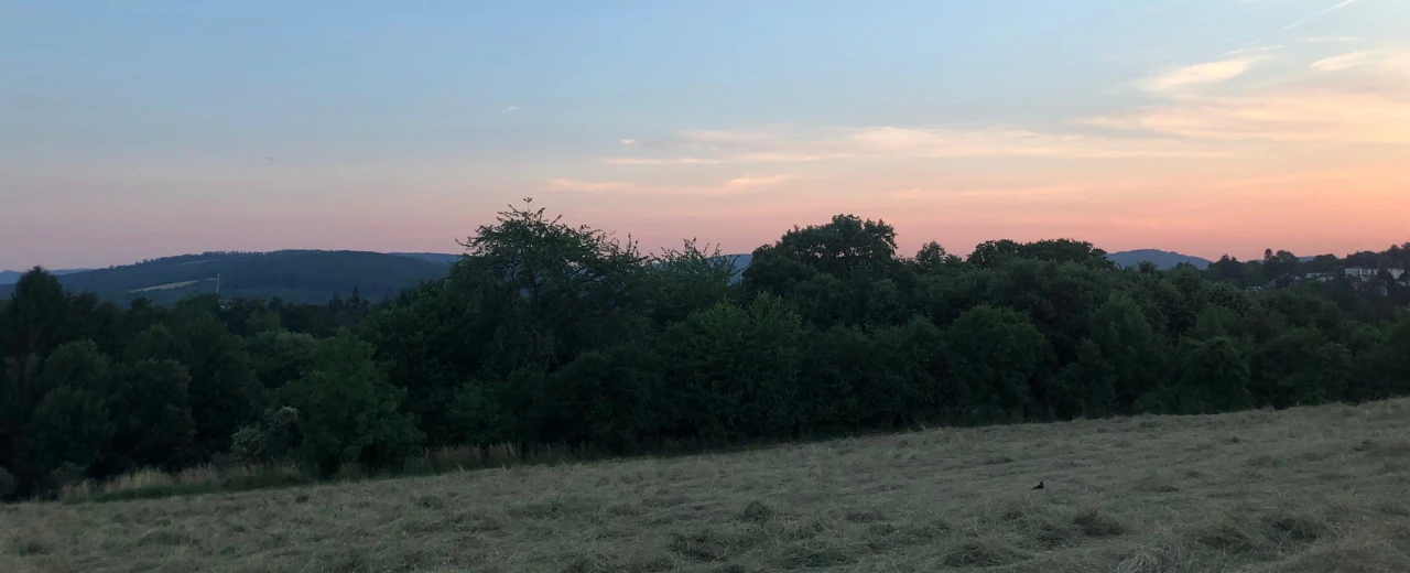 Idyllische Landschaft bei Sonnenuntergang: Wiese, Wald und sanfte Hügel unter einem rosa-blauen Himmel. Perfekt für Digital Detox.