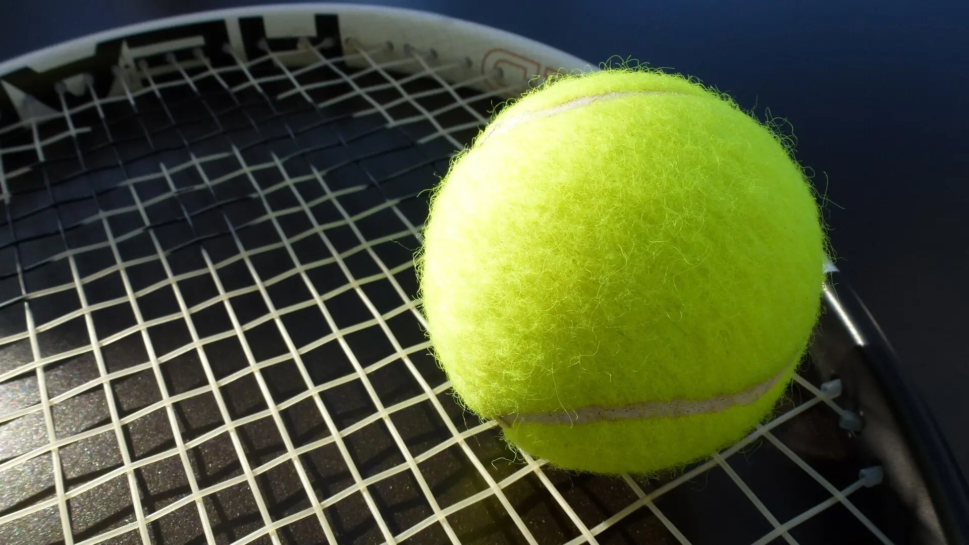 Tennis: WTA 500